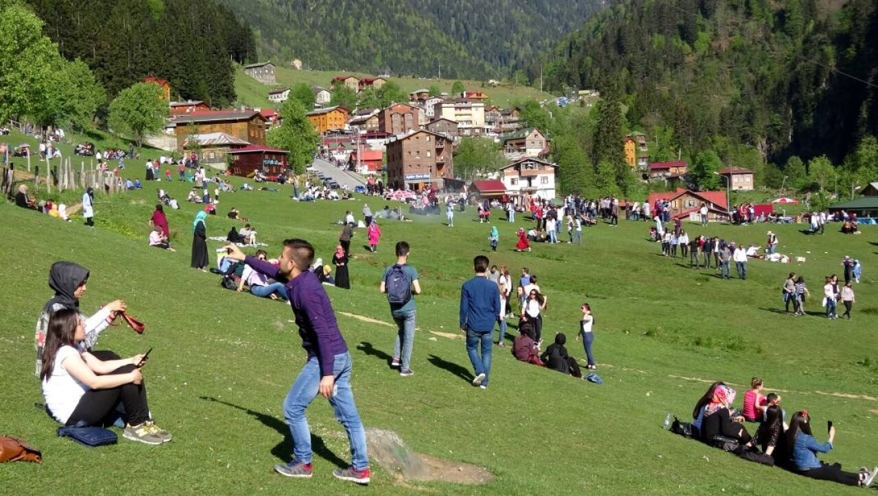 Yaylada ürküten artış: 'Çok ciddi miktara ulaştı' 5