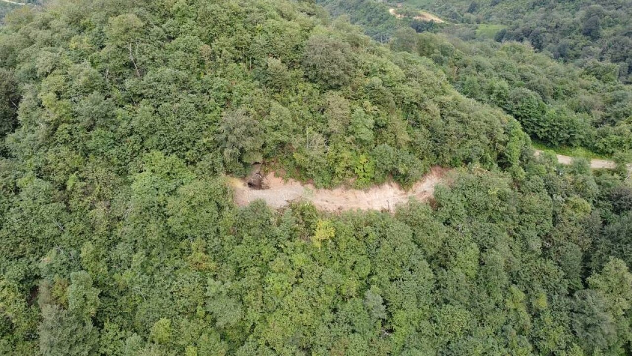 Defineciler yine iş başında: Ormana iş makinesiyle girip yol açtılar 4