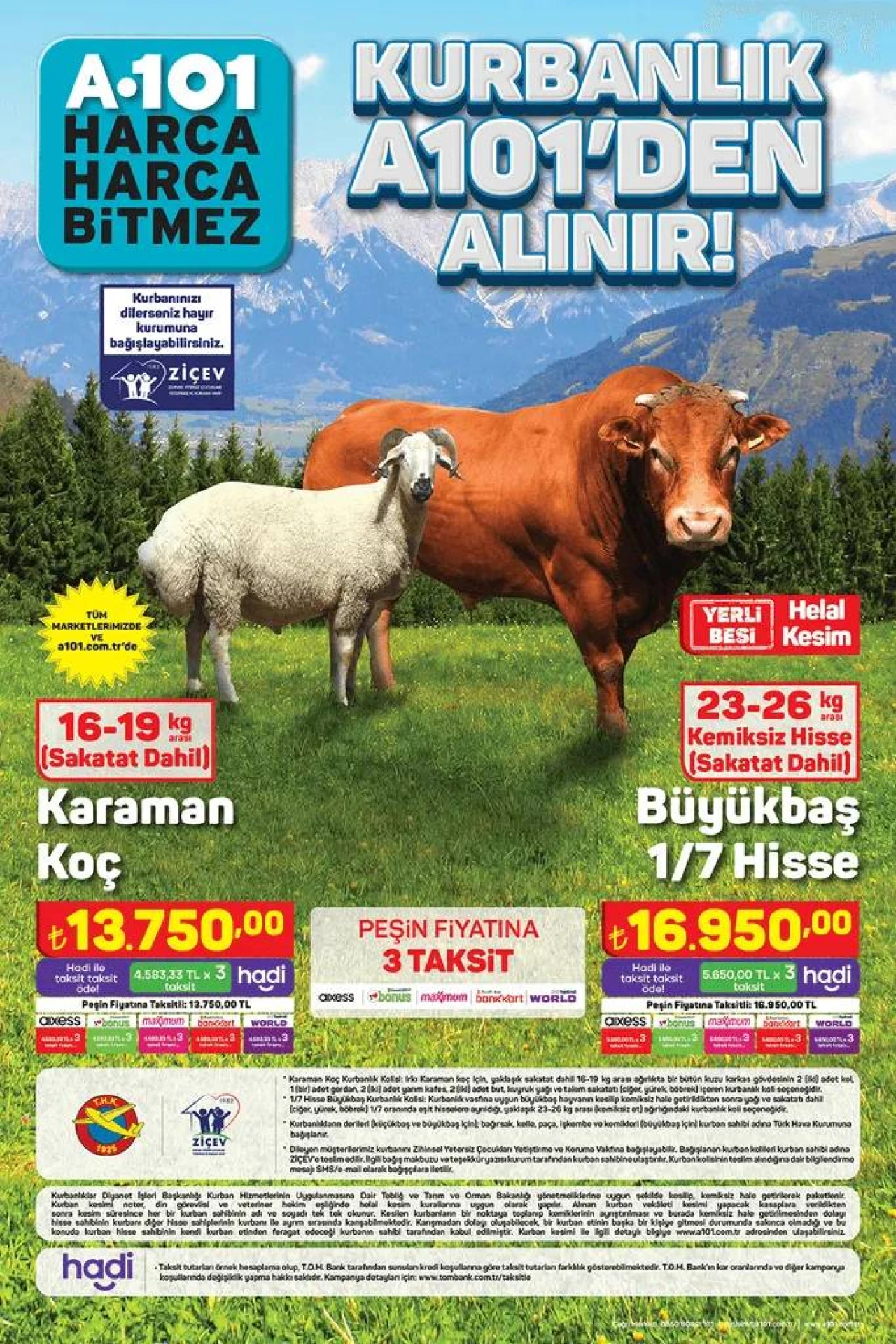 A101 2024 Kurban Bayramı kataloğu, deniz ve plaj ürünleri, güneş kremi, mayo ve şort, plaj terliği, şnorkel setleri satışta! 2