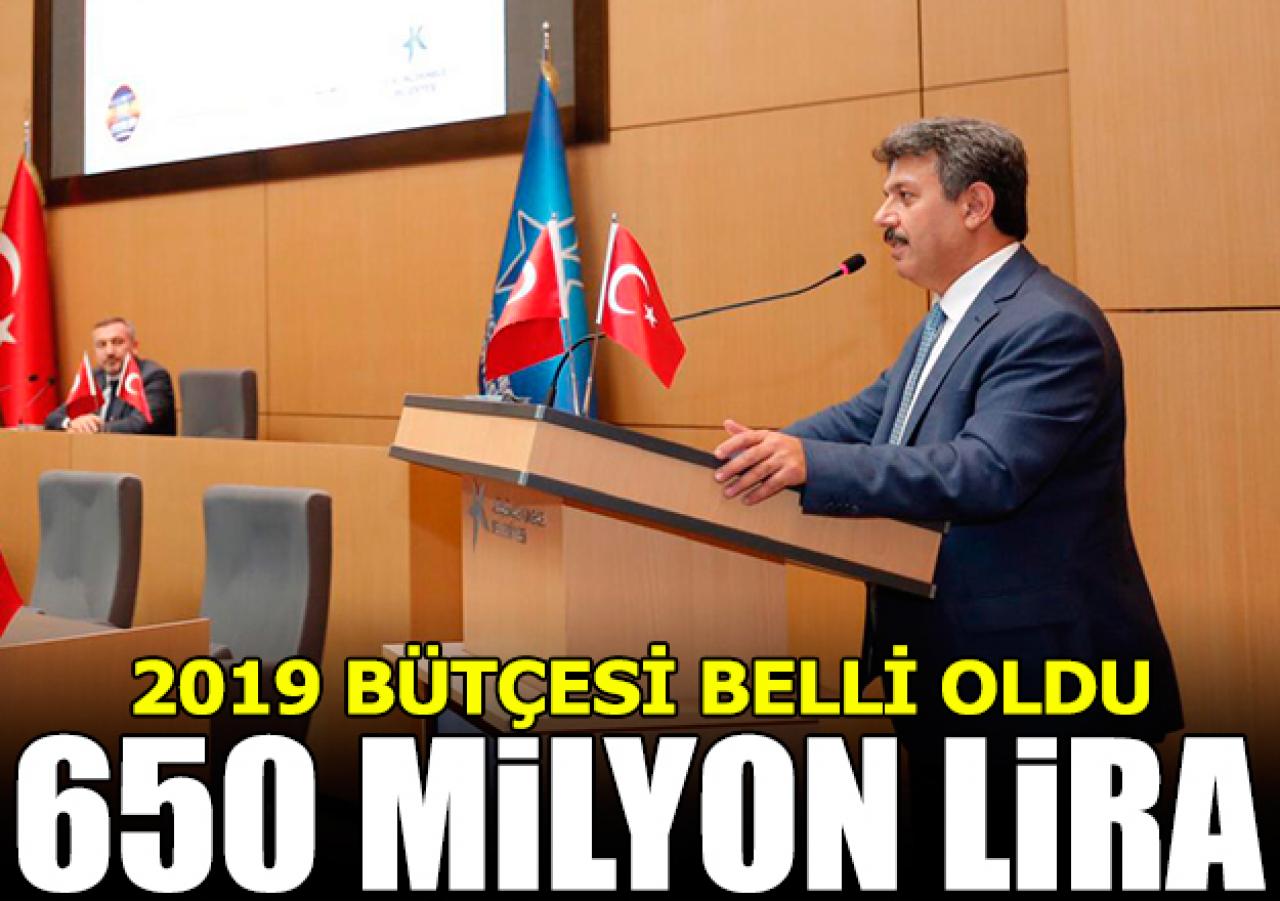 2019 yılı bütçesi 650 milyon TL