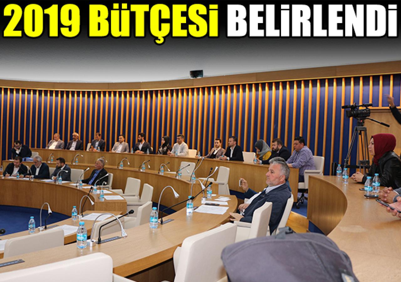 Bütçe oy birliği ile geçti