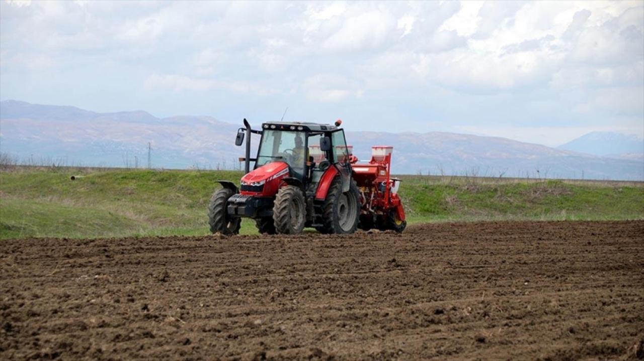 Muş'ta bu yıl şeker pancarı üretiminde "rekor" hedefleniyor