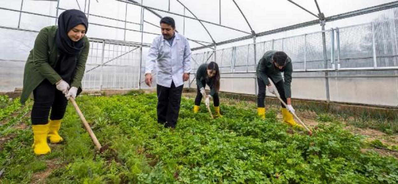 Tarım alanında eğitim veren okul sayısı yüzde 100 arttı