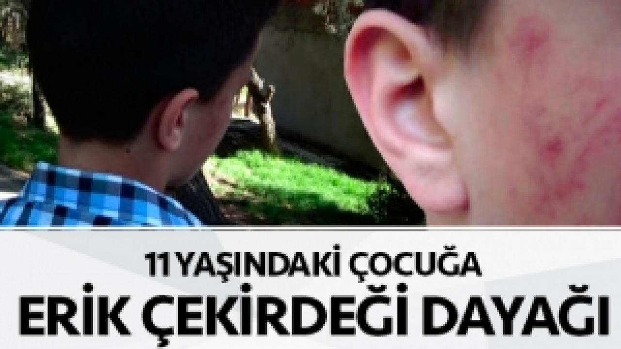 Tuzla'da erik çekirdeği dayağı!