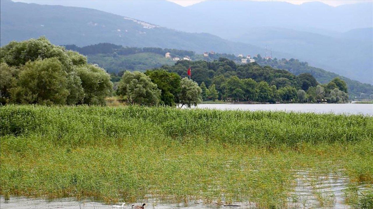 Sapanca Gölü'nde su seviyesi sınıra yaklaştı