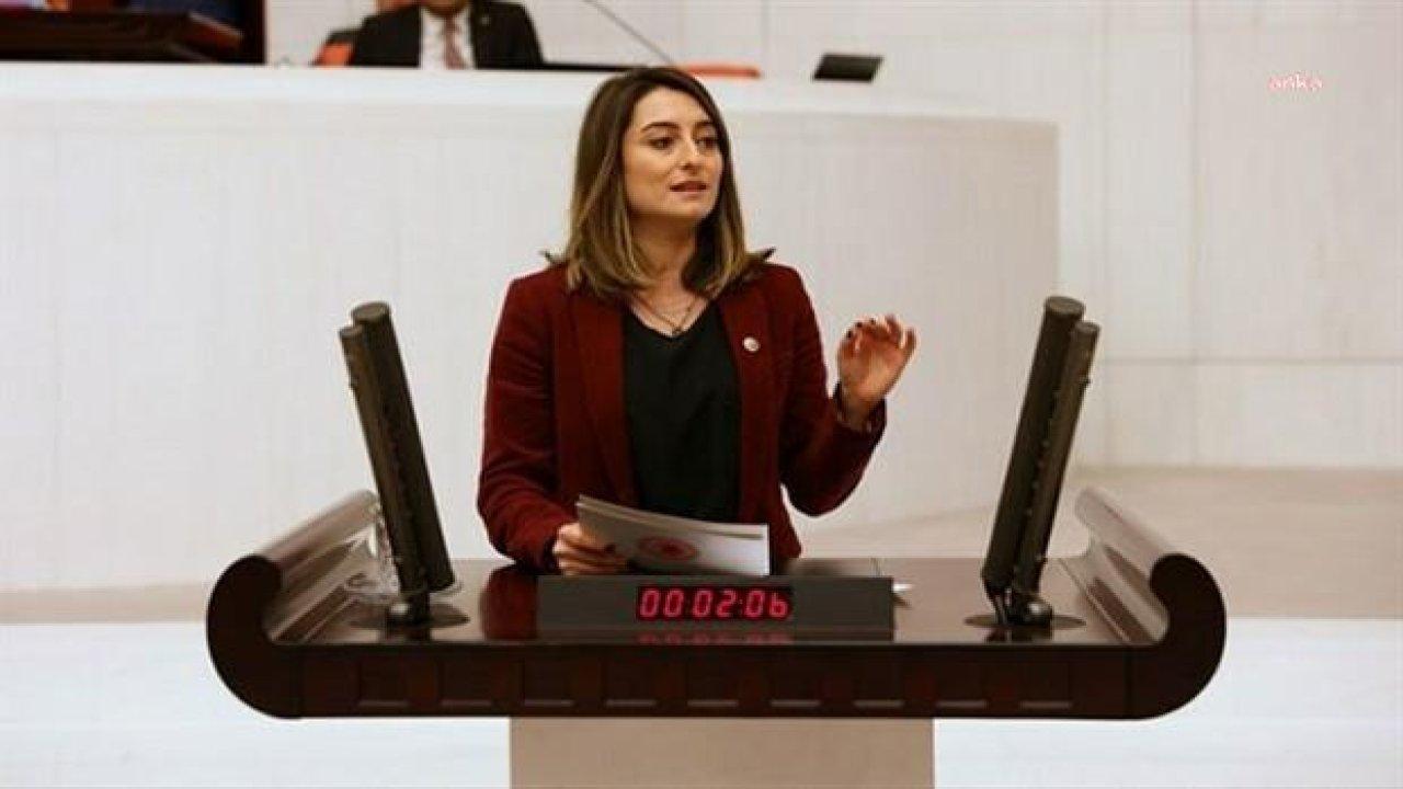 CHP MYK üyesi Aysu Bankoğlu kimdir, kaç yaşında, nereli?