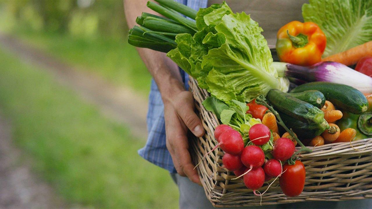 Karaciğer Dostu “Süper Besinler” Hangileri?