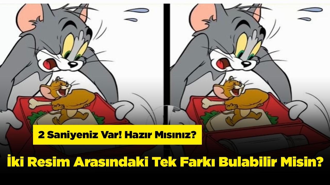 İki Resim Arasındaki Tek Farkı Bulabilir Misin? 2 Saniyede Bulanların IQ'su En Az 160 Çıkıyor!