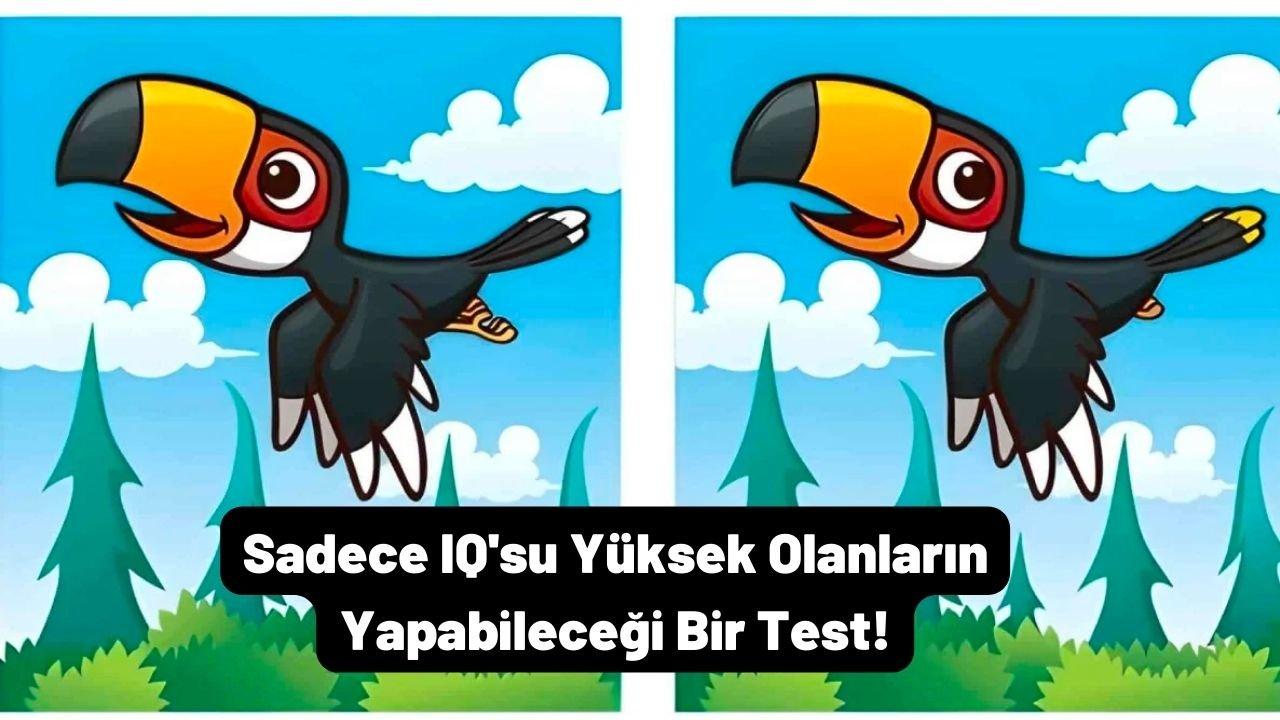 Zekanı Test Etmeye Hazır Mısın Bu Testi IQ'su 170 Olanlar Çözebiliyor!