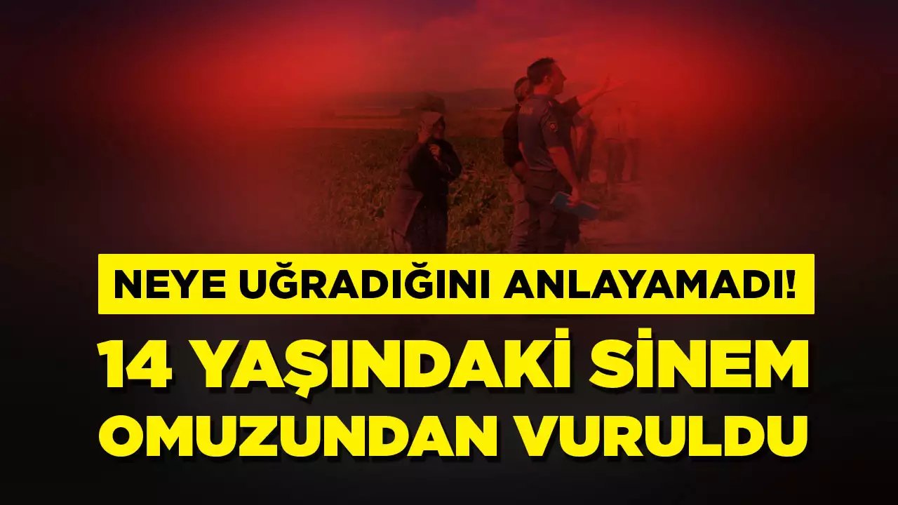 Tarlada çalışan 14 yaşındaki Sinem omuzundan vuruldu