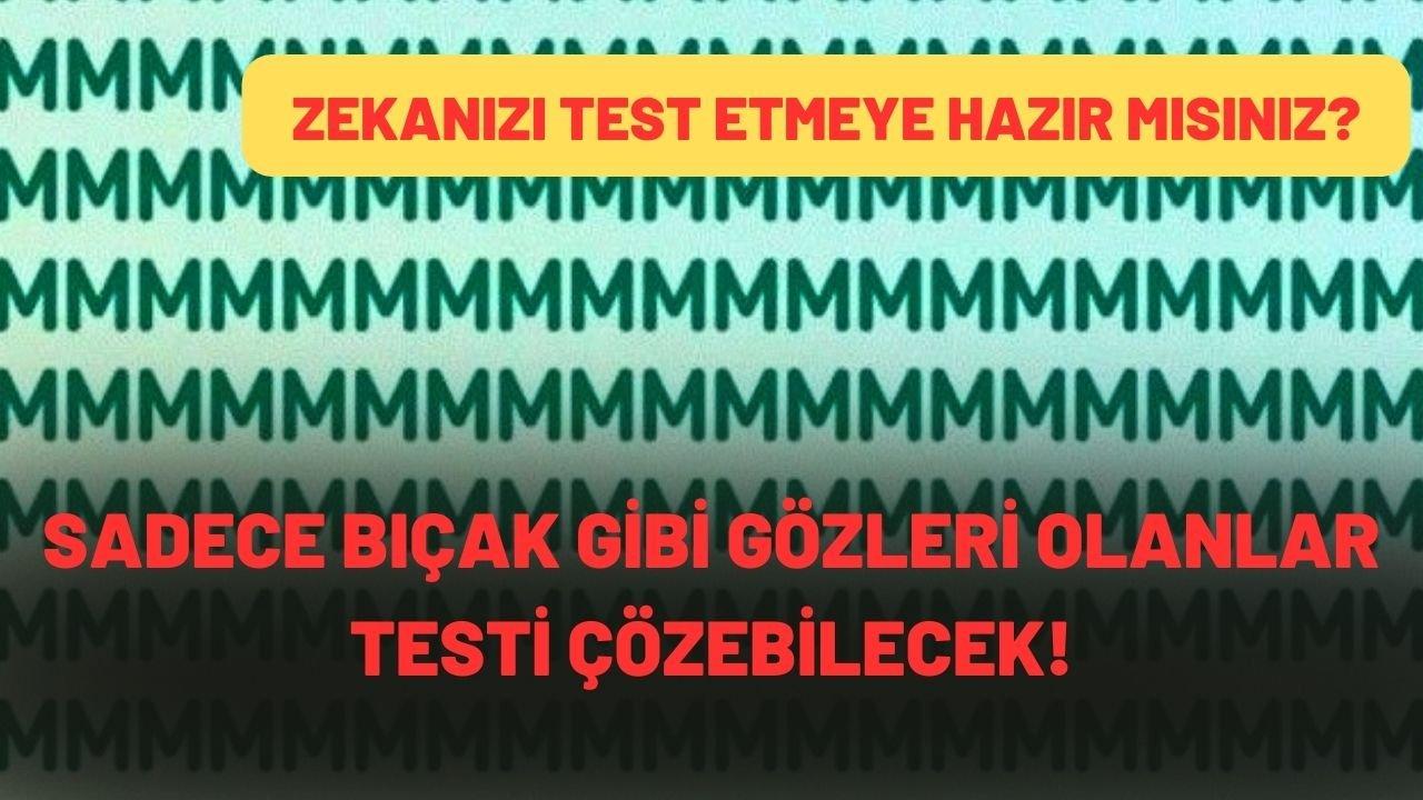 Çok zekiyim diyenler bile bu testi yapamadı!