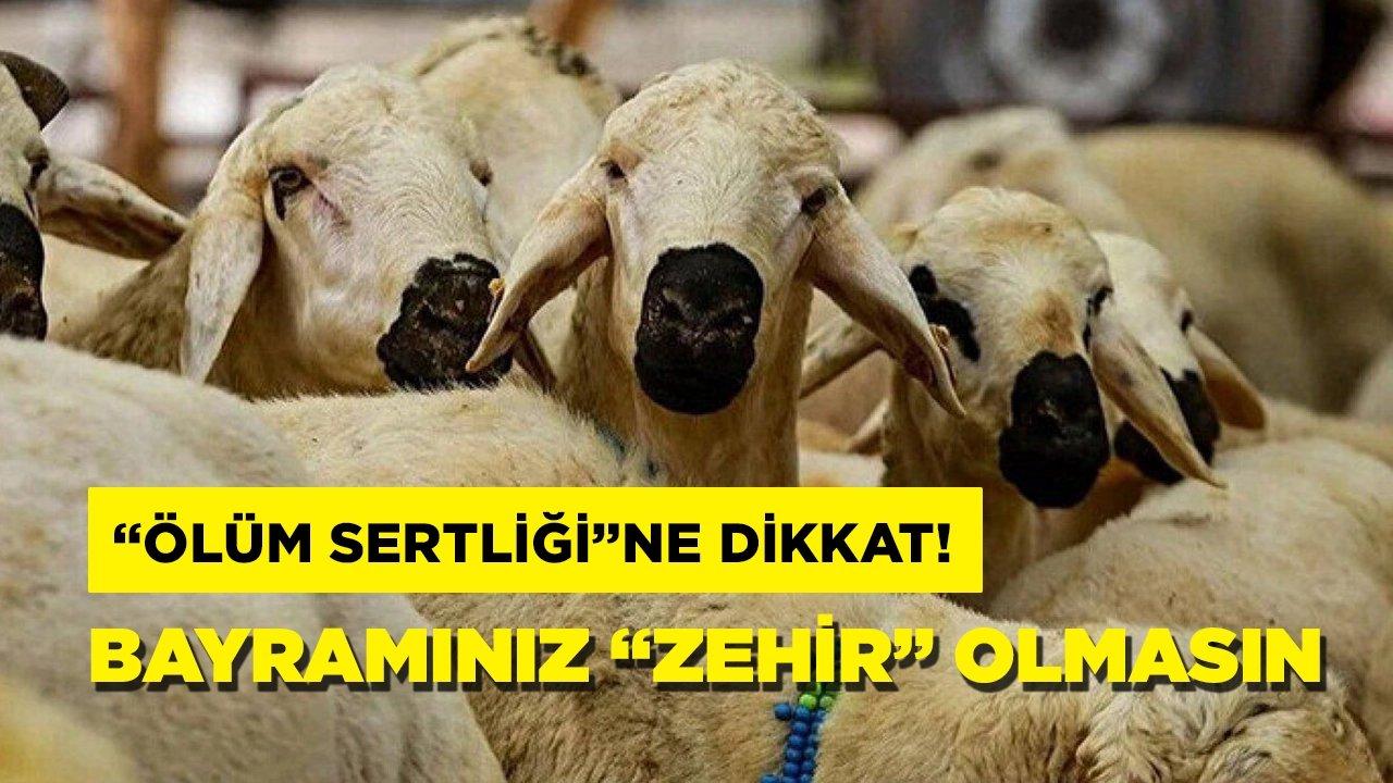 Bayramınız “zehir” olmasın! Kurban etindeki “ölüm sertliği”ne dikkat!