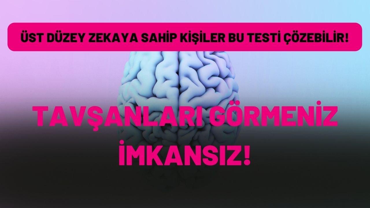 Sadece çok zeki insanlar bu testi 5 saniyede çözebilir!