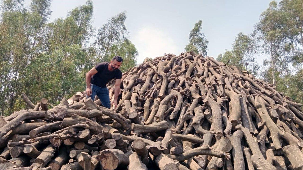 Mangal kömürü işçilerinin sıcak mesaisi