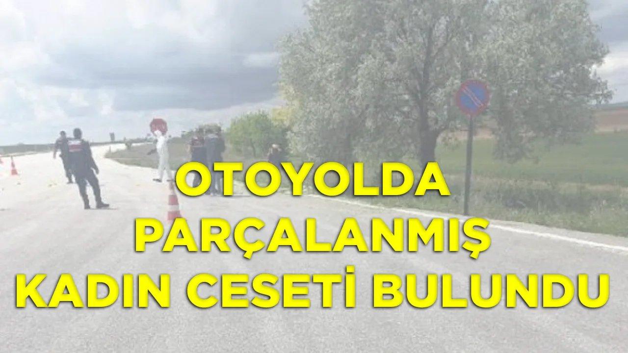 Otoyolda parçalanmış kadın cesedi bulundu