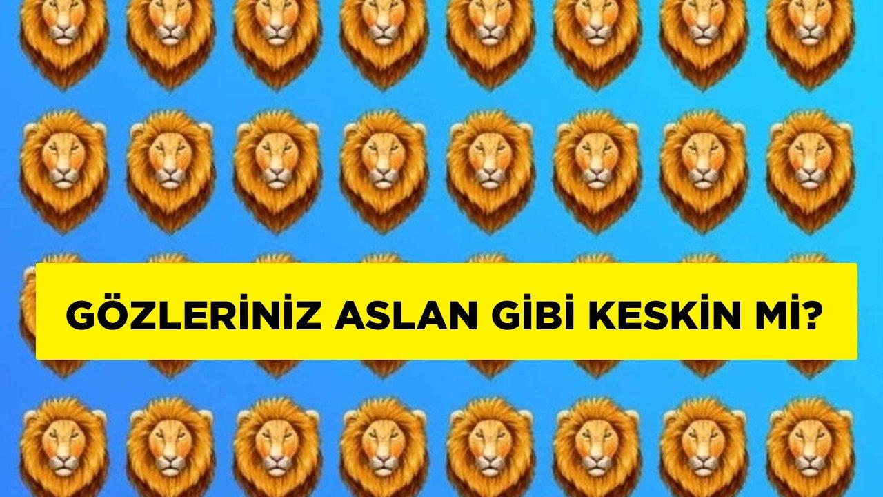 Sadece aslan gibi gözlere sahip olanlar fark ediyor! 5 saniye testi…