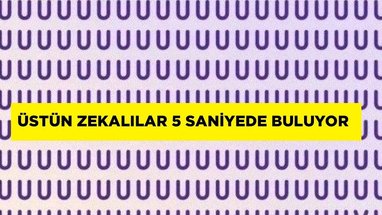 Kendine güvenenler 5 saniyede buluyor! Keskin gözlerden kaçmıyor!