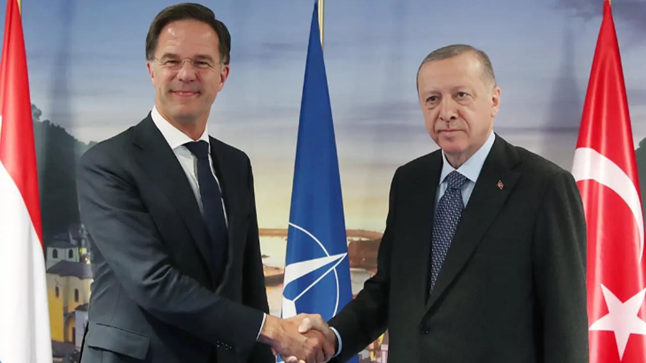 Erdoğan, Hollanda Başbakanı Rutte ile görüştü