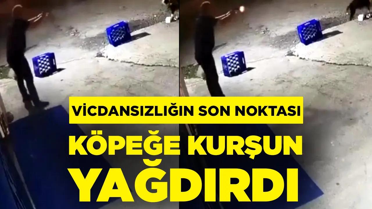 Eğlence merkezinde vahşet: Köpeğe kurşun yağdırdı