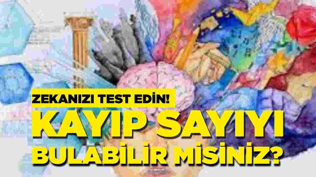 Mantık becerilerinizi test edin!