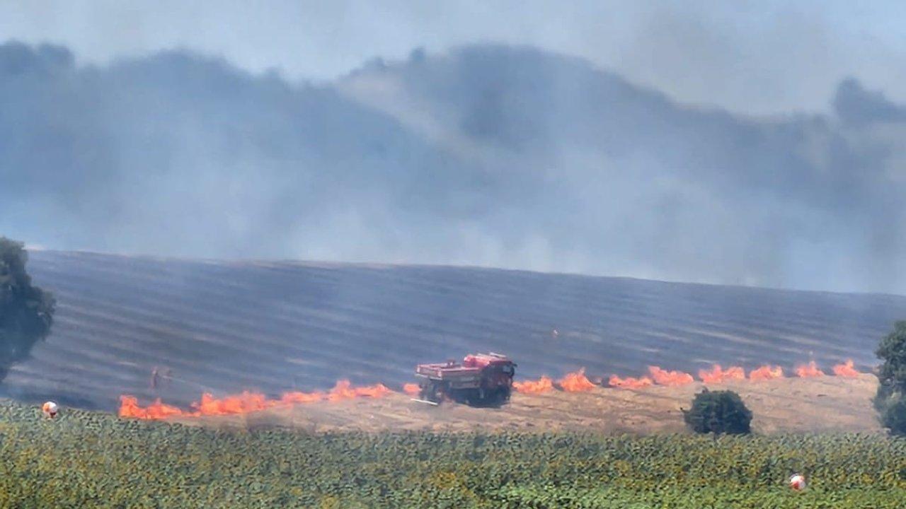 Tarlada çıkan yangın ormana ilerliyor