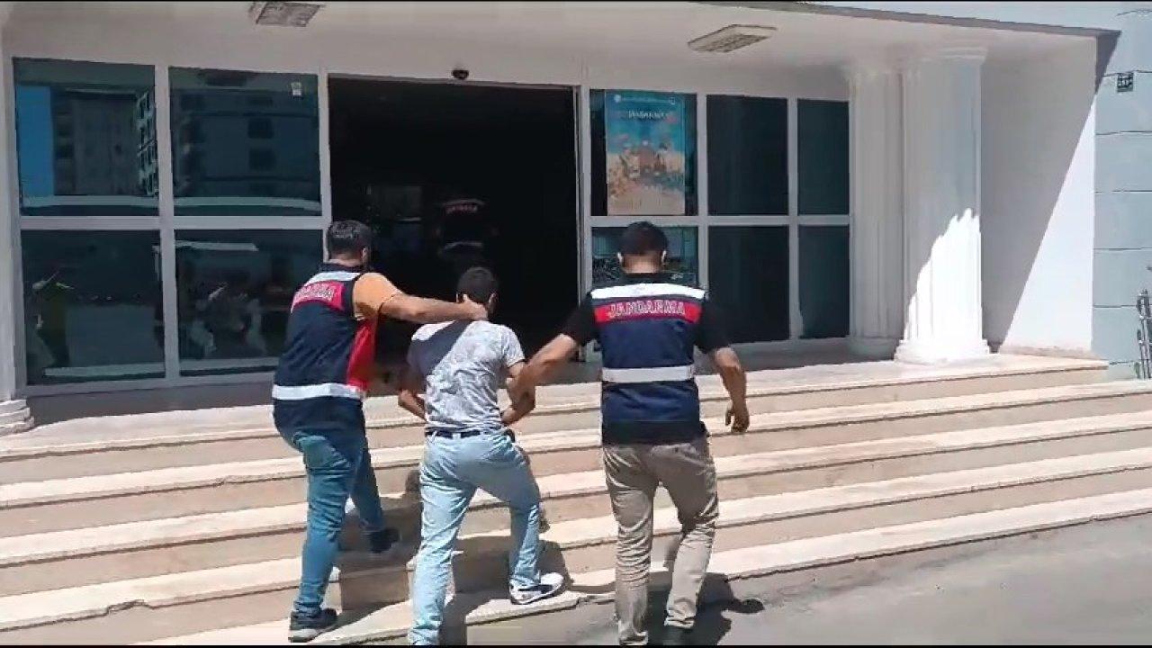 3 ay önce firar etmişti: Cezaevi firarisi ahırda yakalandı