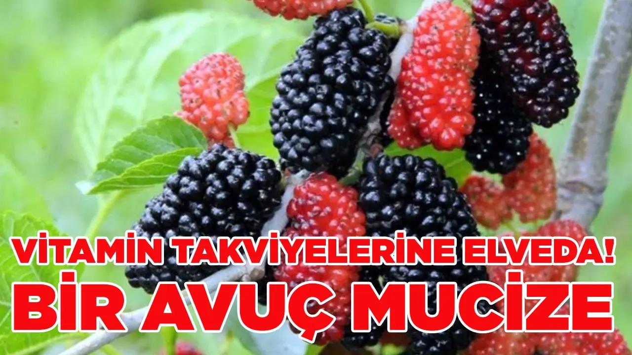 Mucizeleri saymakla bitmiyor! Vitamin takviyelerine elveda! Bir avuç yiyen şifa buluyor…