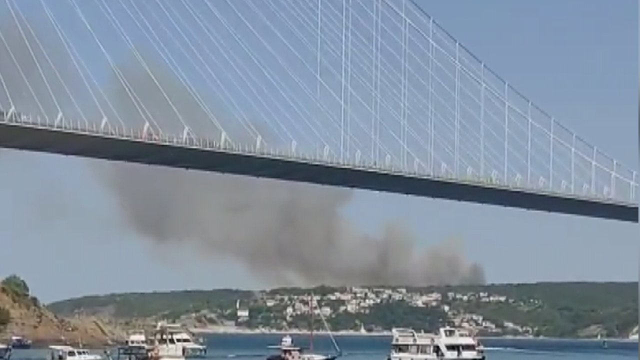 İstanbul Beykoz'da orman yangını