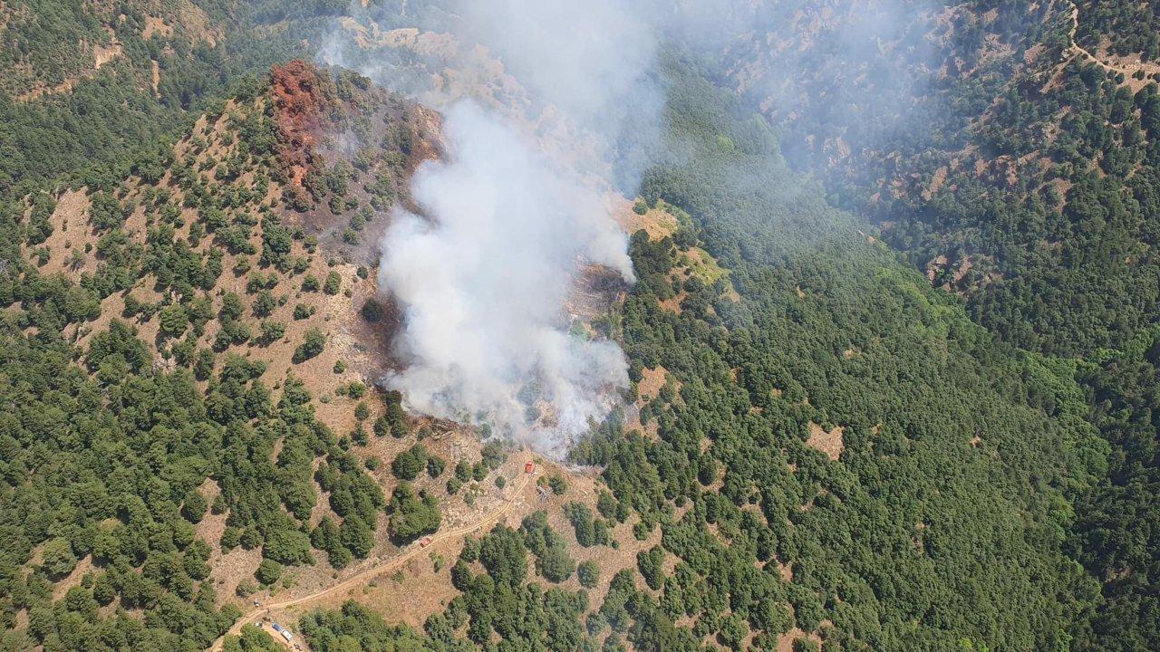 Manisa'da orman yangını