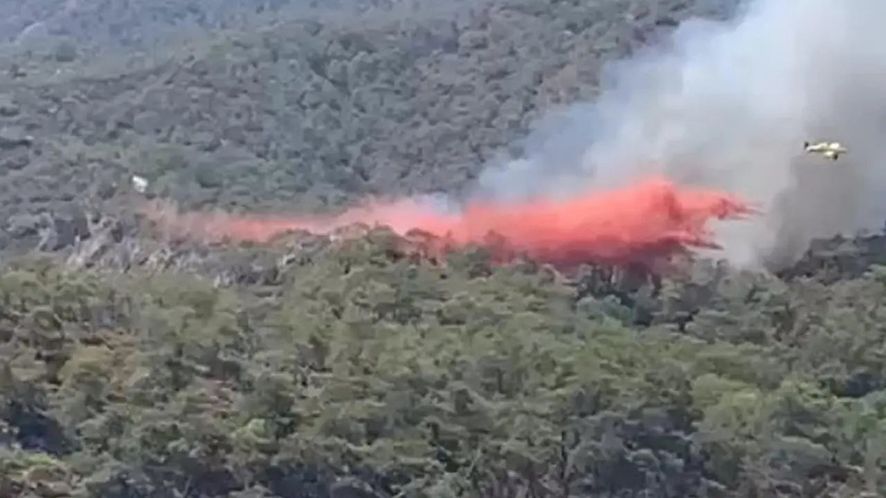 Fethiye'de orman yangını