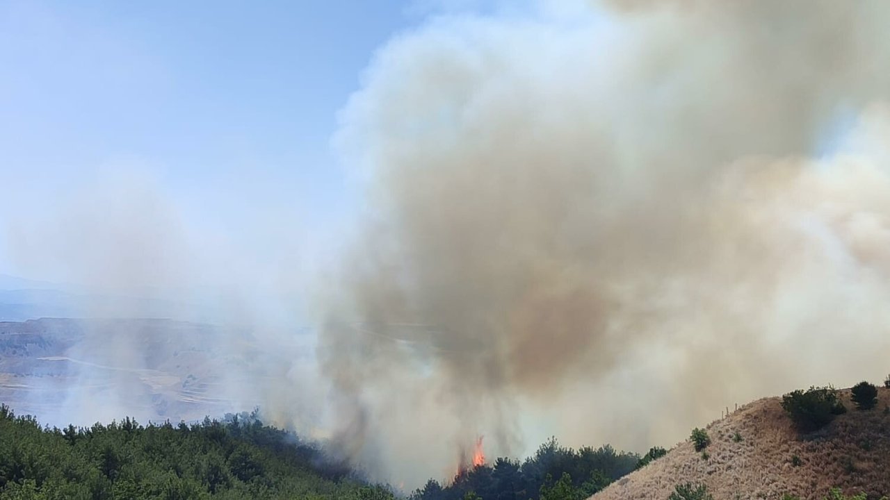 Manisa'da orman yangını