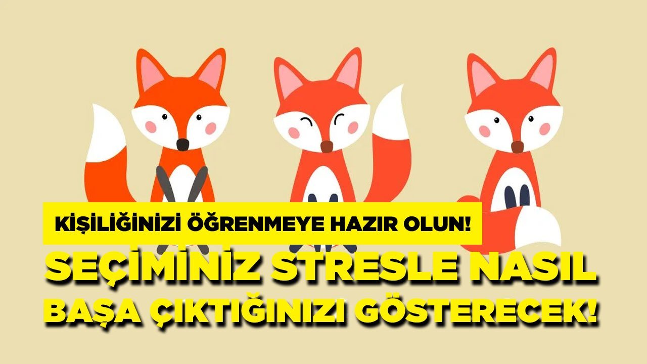 Stresle nasıl başa çıktığınızı öğrenmeye hazır mısınız!