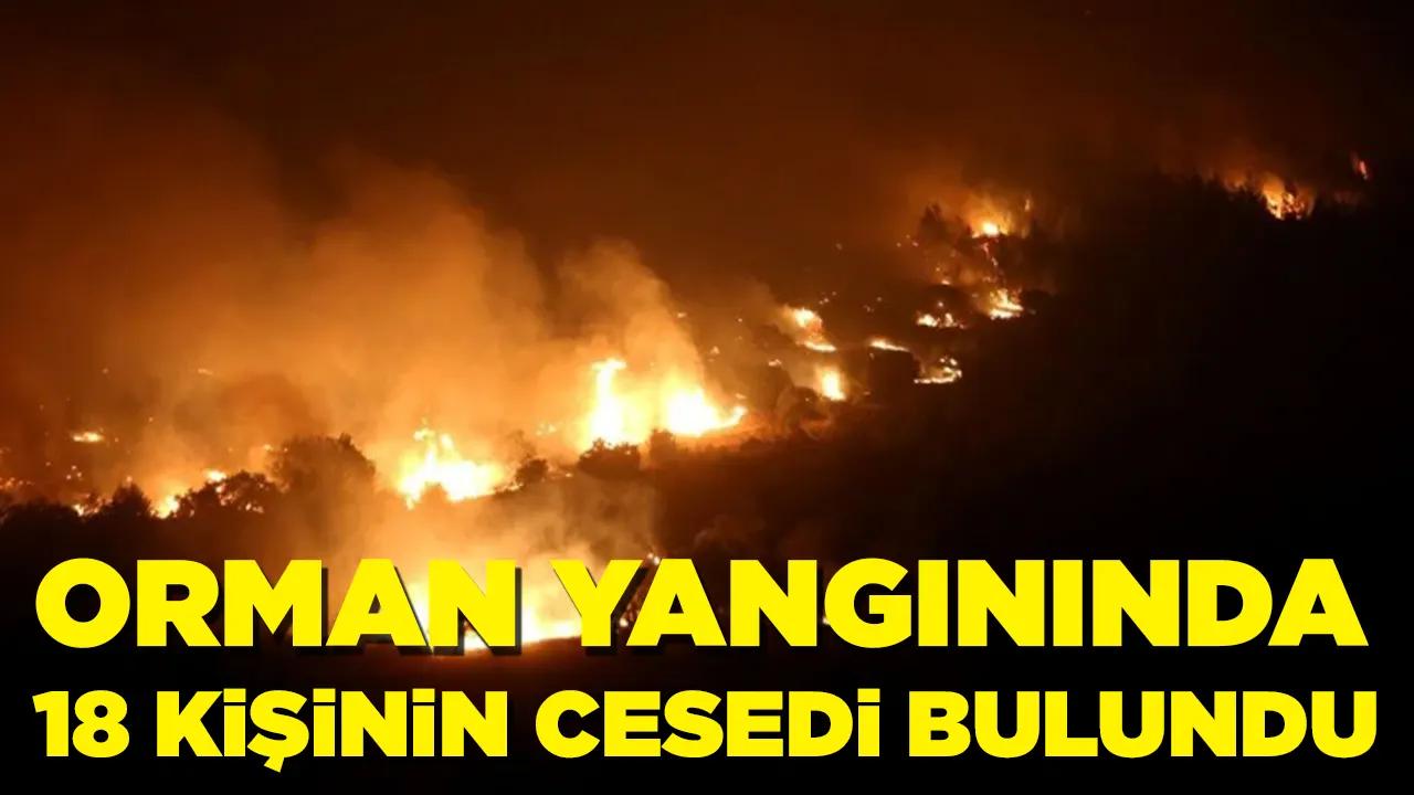 Orman yangınlarında 18 kişinin cesedi bulundu