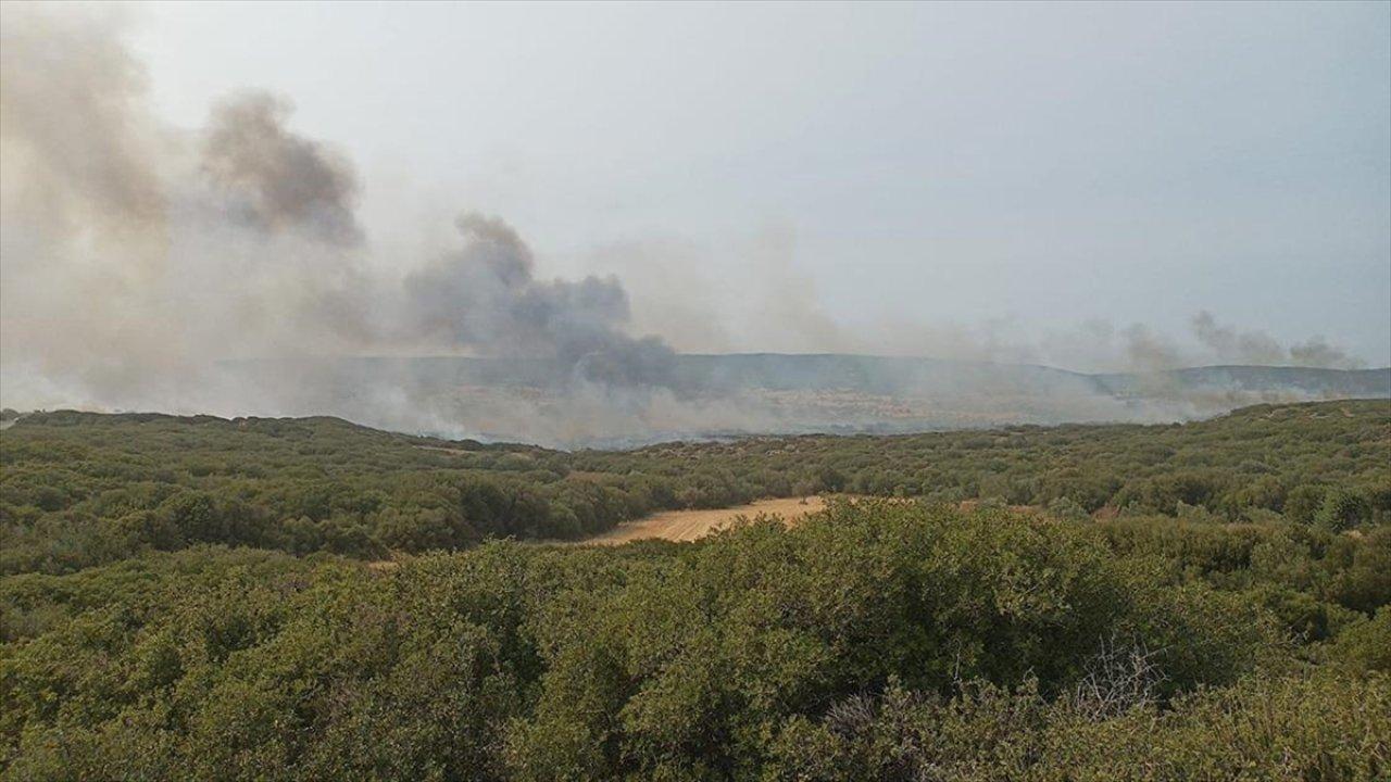 Çanakkale'de bir yangın daha: Alevlere müdahale ediliyor