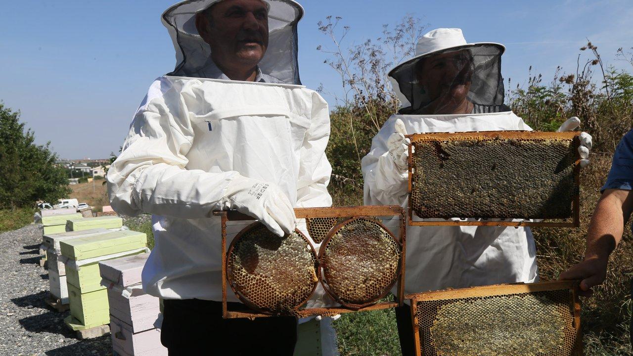 Büyükçekmece’de ilk bal hasadı gerçekleşti