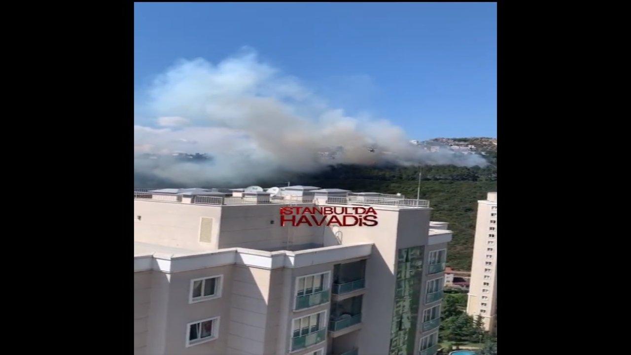 Ormanlık alanda başlayan yangın böyle görüntülendi