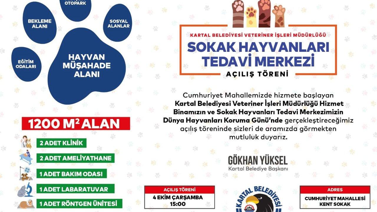 Kartal'da sokak hayvanları emin ellerde