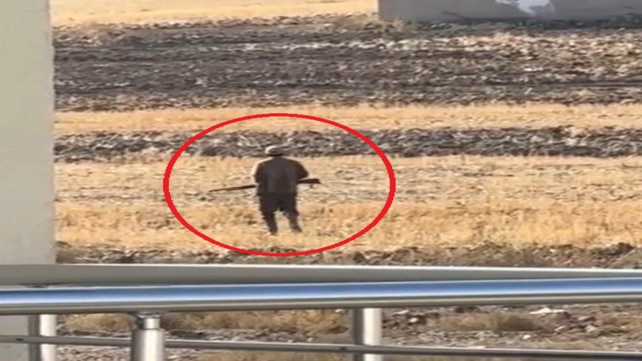 Ördek ve tavuklarını yediğini iddia ettiği köpekleri tüfekle vurdu