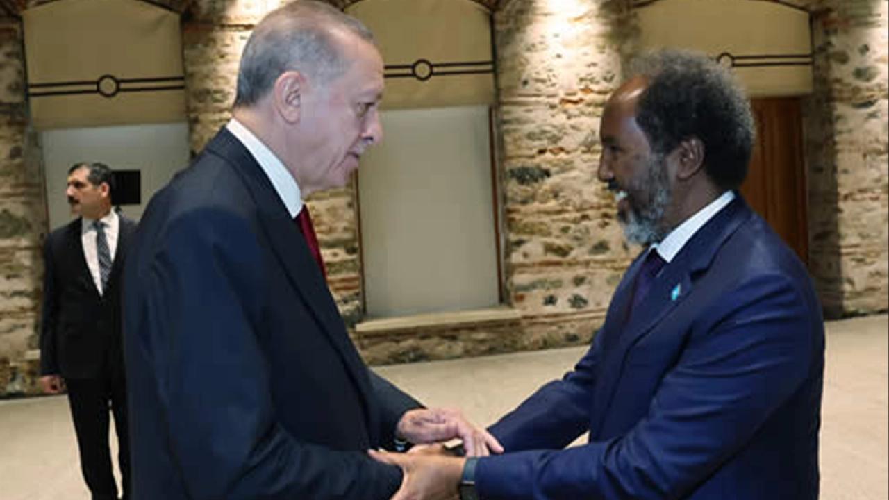 Cumhurbaşkanı Erdoğan, Somali Cumhurbaşkanı ile görüştü