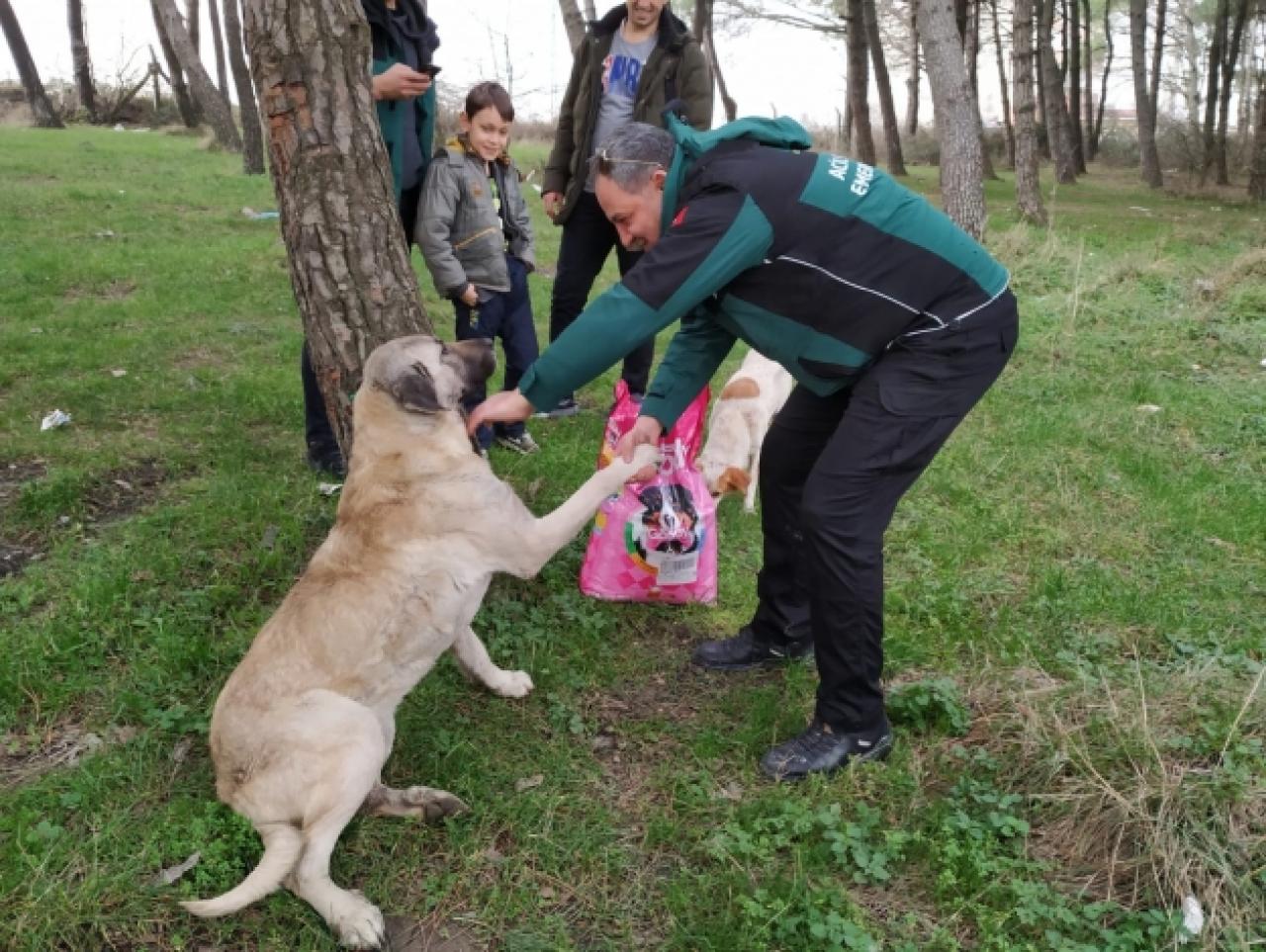 Hayvana zulmün cezası çok ağırdır