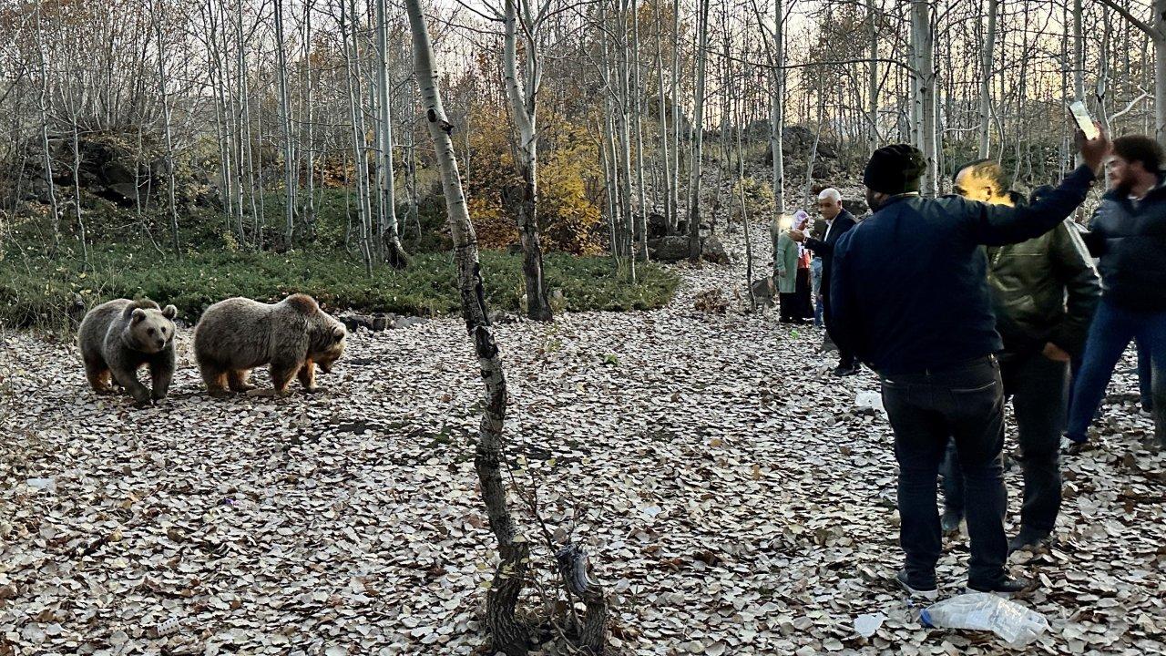 Uyarılara aldırmadan selfi çekiyorlar: 'Ölümcül darbeler vurabilir'