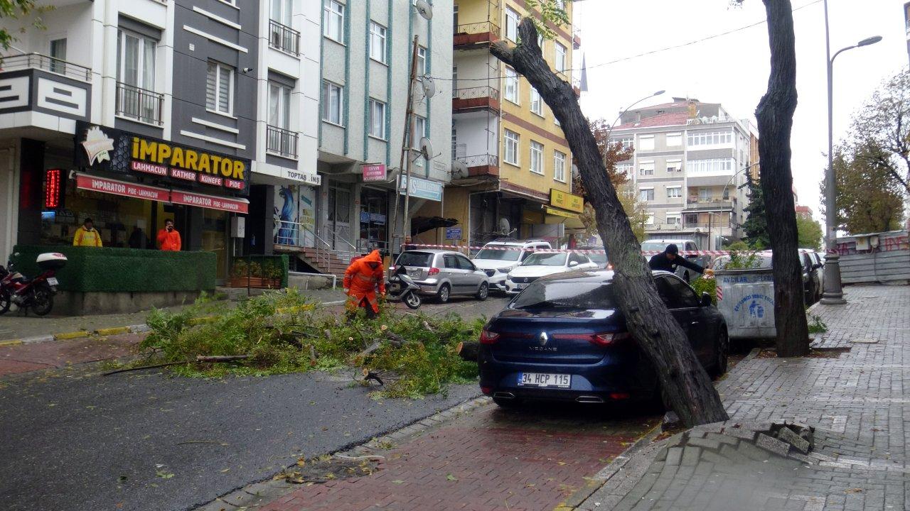 Ağaç otomobilin üzerine devrildi