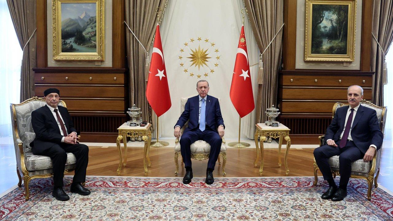 Cumhurbaşkanı Erdoğan, Libya Temsilciler Meclisi Başkanı Salih ile görüştü