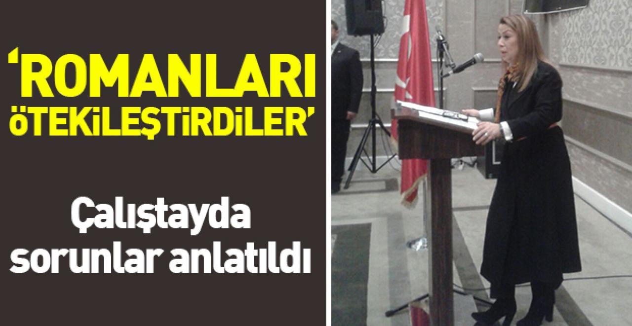 Romanları  ötekileştirdiler