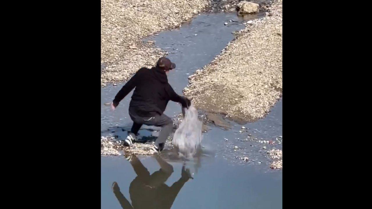 Adana’da sıradan bir gün… Göletteki yılan balığını eliyle yakalayıp fırlattı!