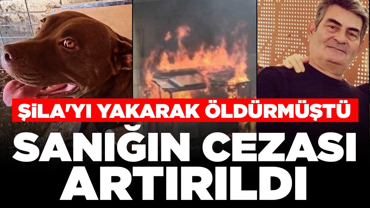 Emsal karar! Şila'yı yakarak öldürmüştü: Sanığın cezası artırıldı