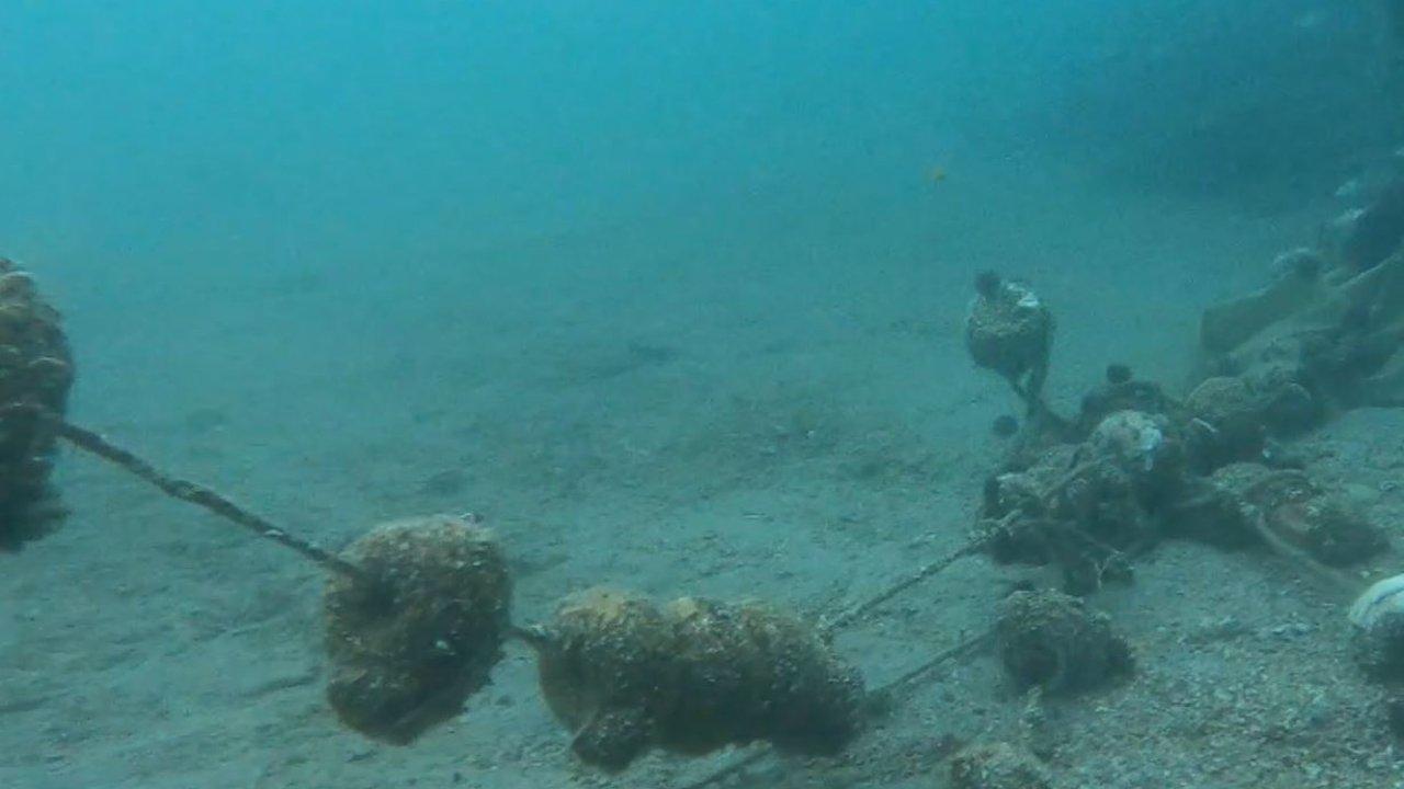 Marmara ısınıyor: 'Görüş mesafesi düştü, yoğun plankton çoğalması var'