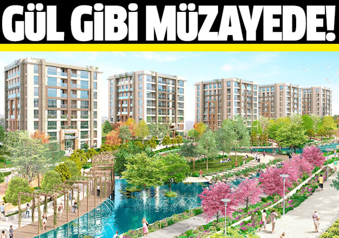 Gül gibi müzayede