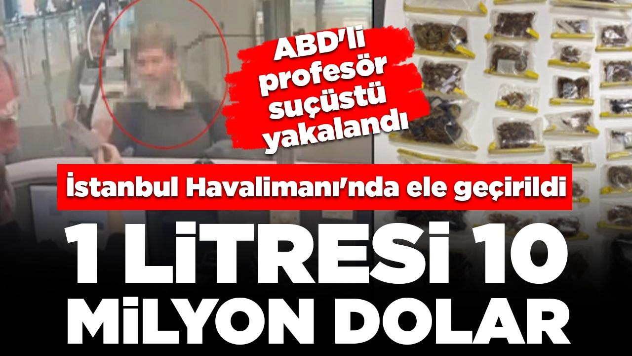 İstanbul Havalimanı'nda endemik hayvan operasyonu: Bin 500 adet akrep, tarantula, örümcek...