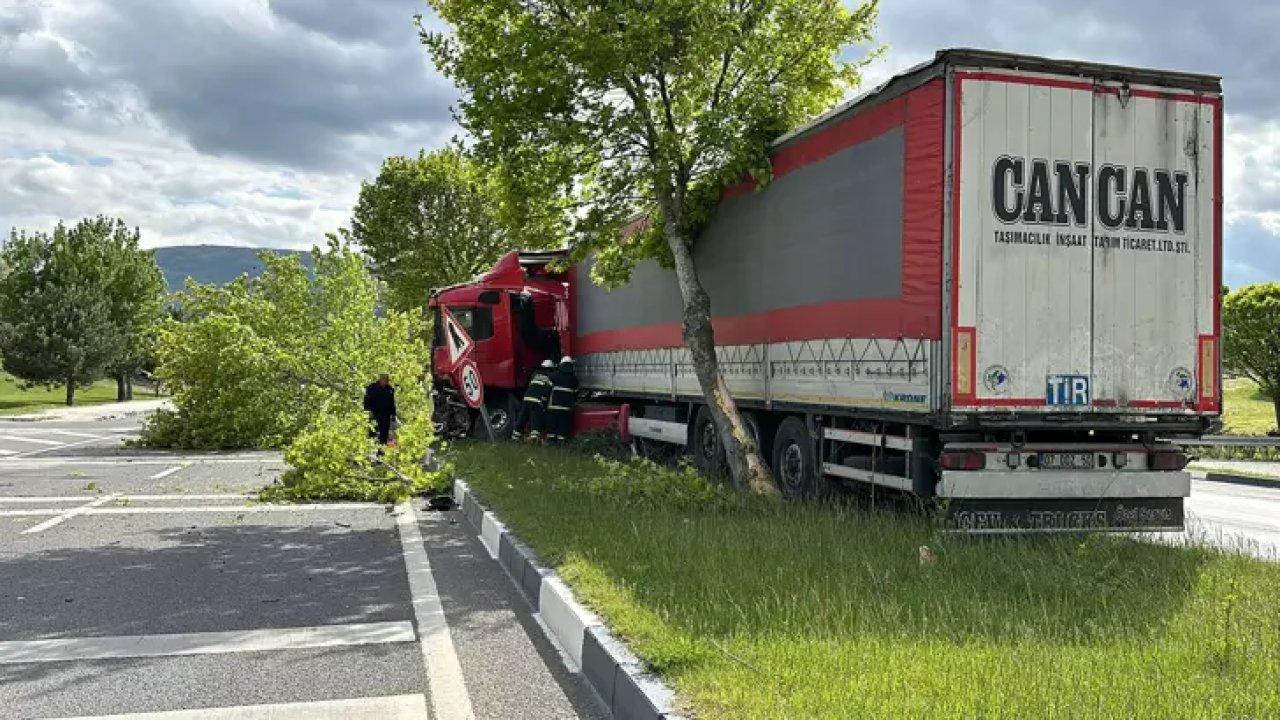 TIR'ın sürücüsü araç başında uyuyakaldı, ağaca çarparak durabildi